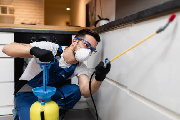 Best Bed Bug Extermination  in Williamstown, KY