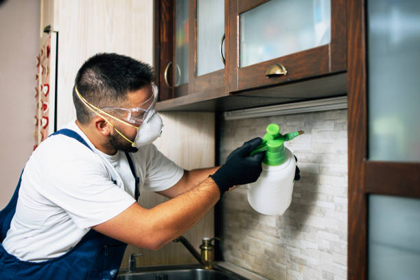 Best Local Pest Control Services  in Williamstown, KY