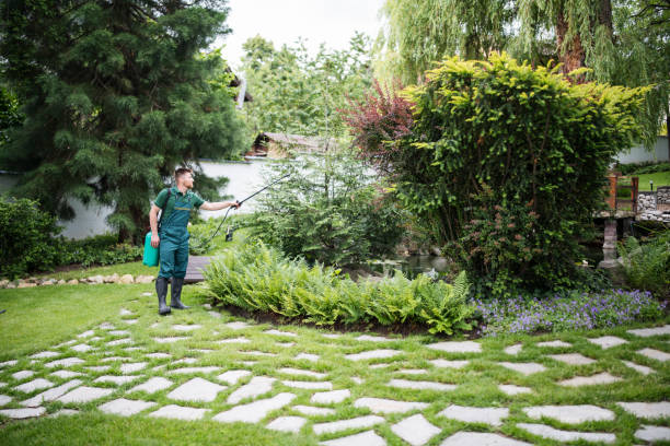 Best Best Pest Control Companies  in Williamstown, KY