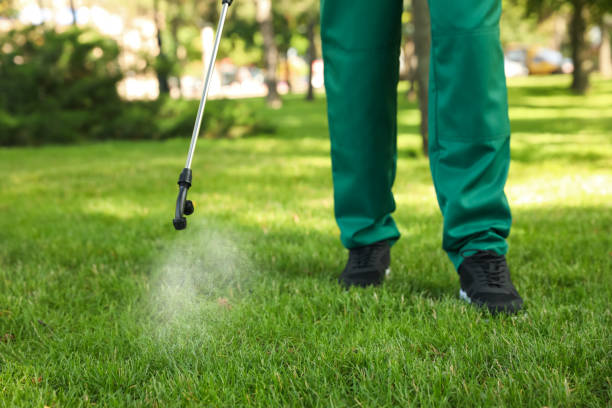 Best Mosquito Control Services  in Williamstown, KY