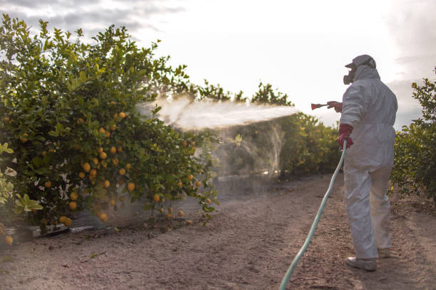  Williamstown, KY Pest Control Pros