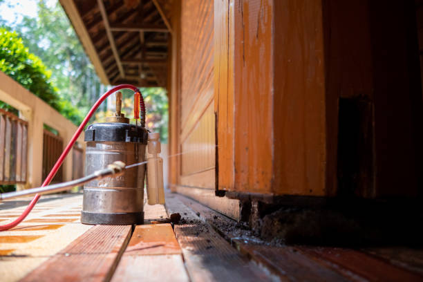 Best Termite Control Services  in Williamstown, KY