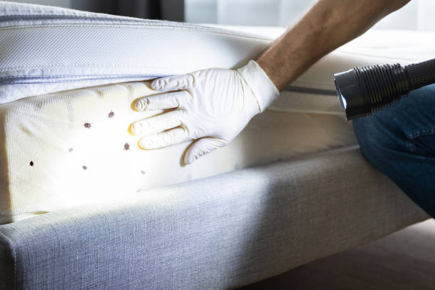 Best Exterminator Services  in Williamstown, KY