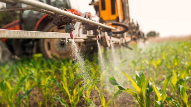 Best Best Pest Control Companies  in Williamstown, KY