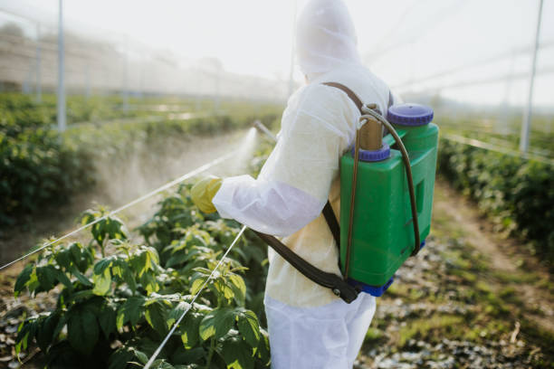 Professional Pest Control in Williamstown, KY